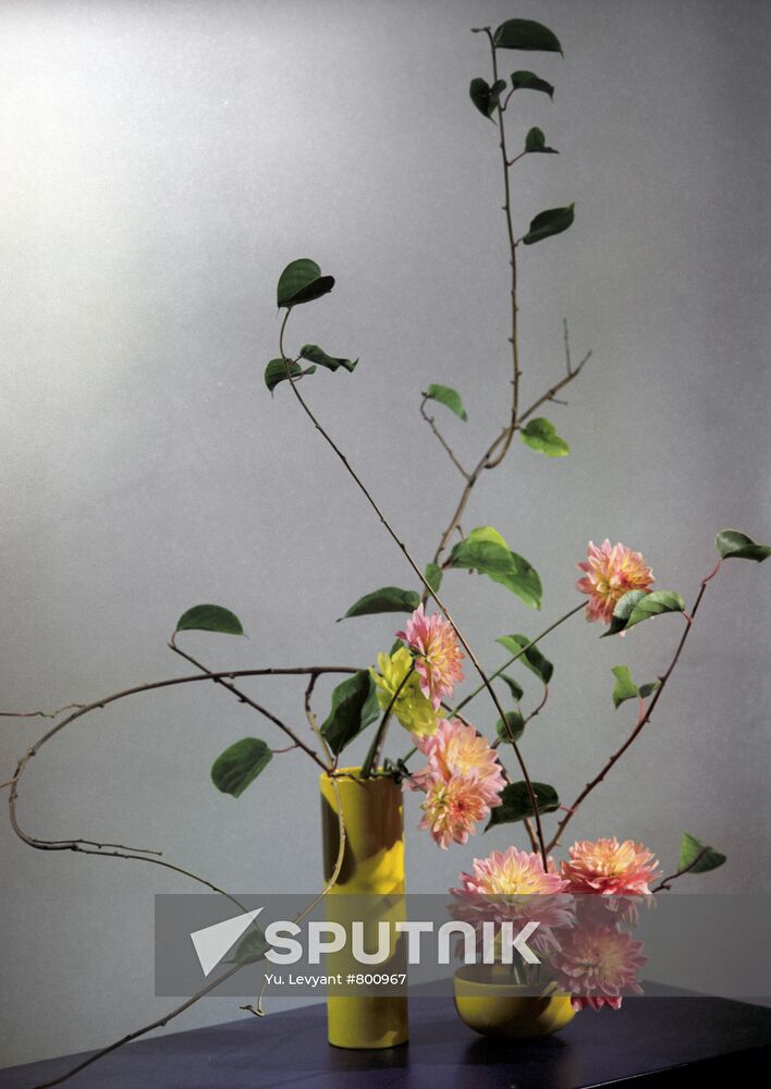 By the Window ikebana arrangement