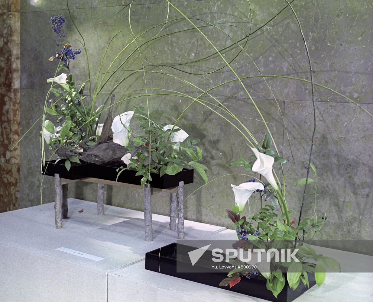 Waterside ikebana arrangement