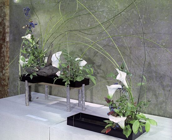 Waterside ikebana arrangement