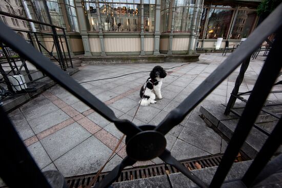 World cities. Helsinki