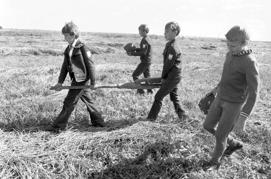 Pupils of Secondary School No.42 find new exhibits for museum