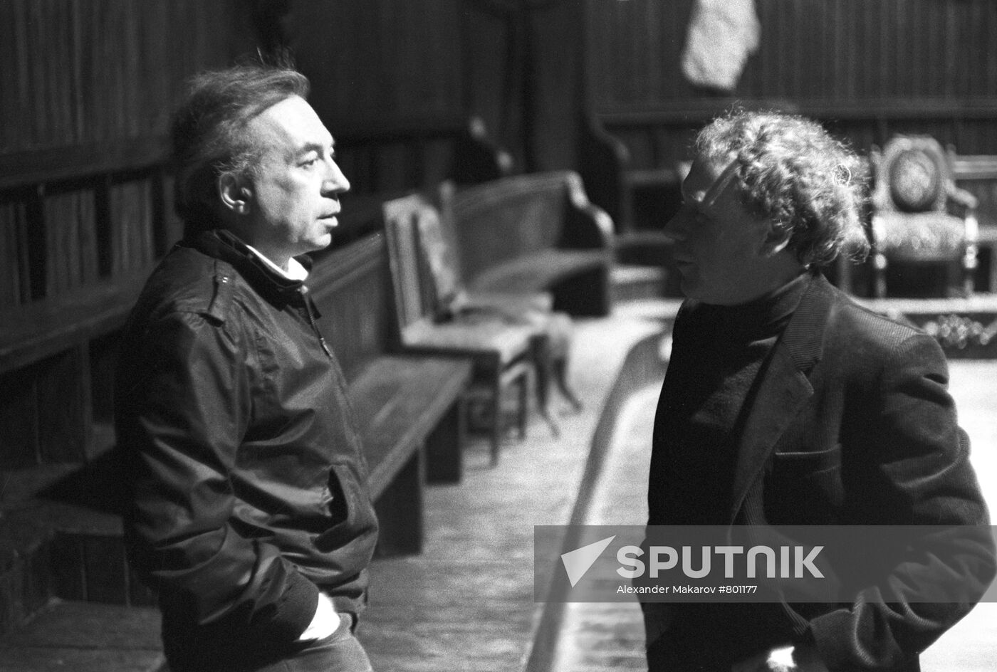 Efros and Radzinsky