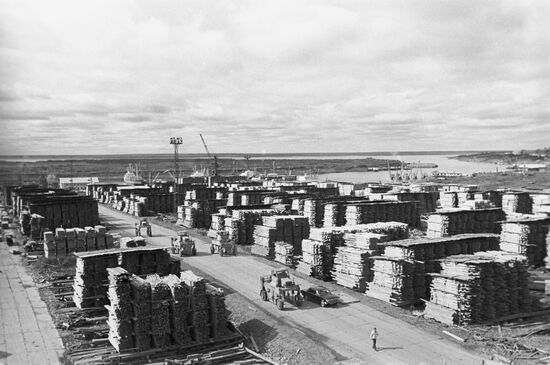 Timber yard