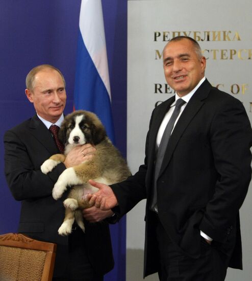 Boyko Borissov presents puppy to Vladimir Putin