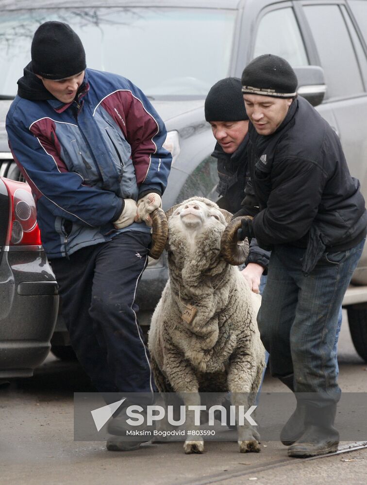 Celebrating the muslim festival Eid al-Adha in Kazan