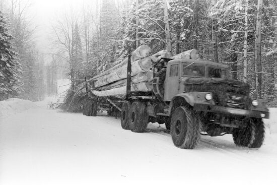 Truck with timber load