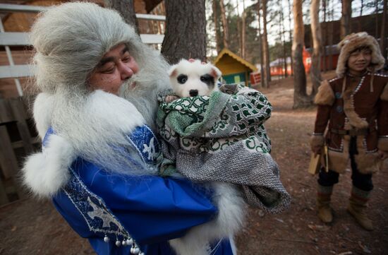 Yamal Iri from Salekhard