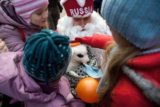 Father Frost celebrates his birthday in Veliky Ustyug