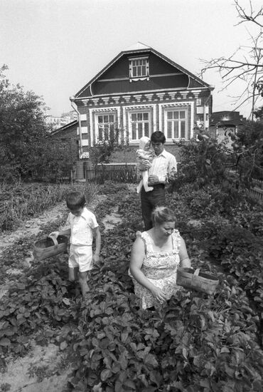 Maxin Gorky collective farm