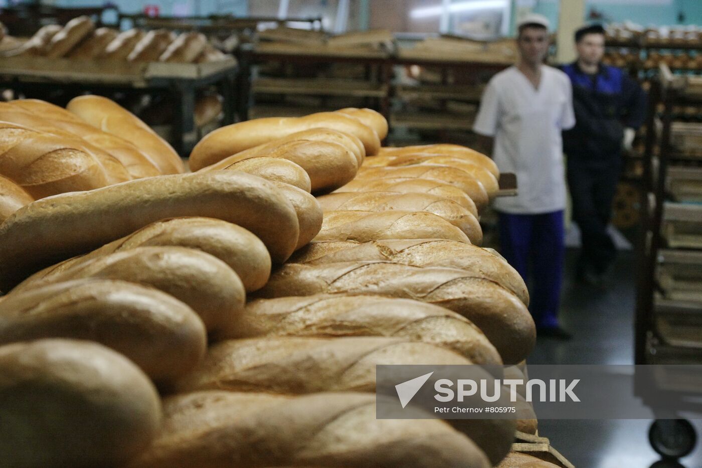 Operation of Vladimir bakery plant