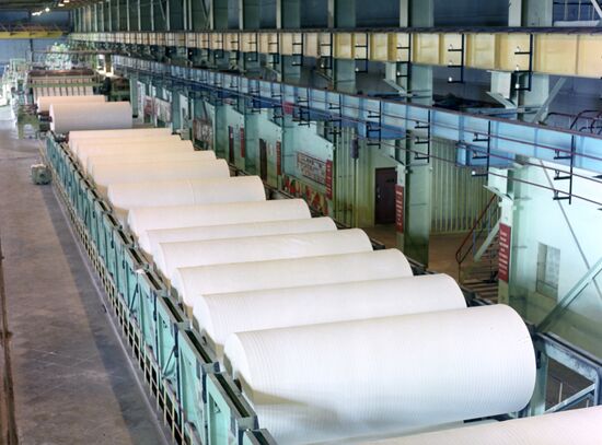 Baikal Pulp and Paper Mill