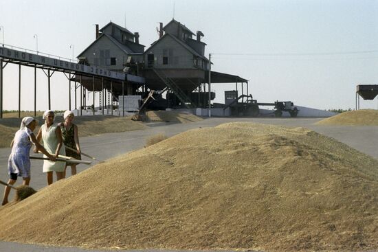 Threshing floor