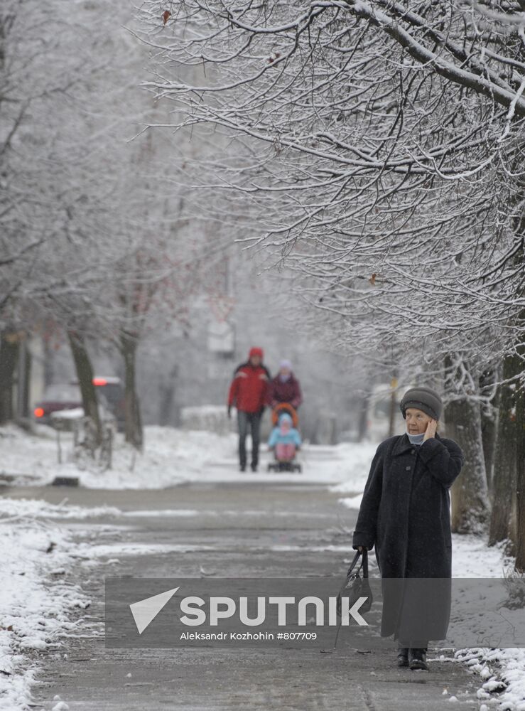 Snowfall in Moscow Region