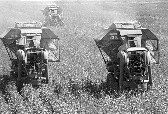Cotton harvesting