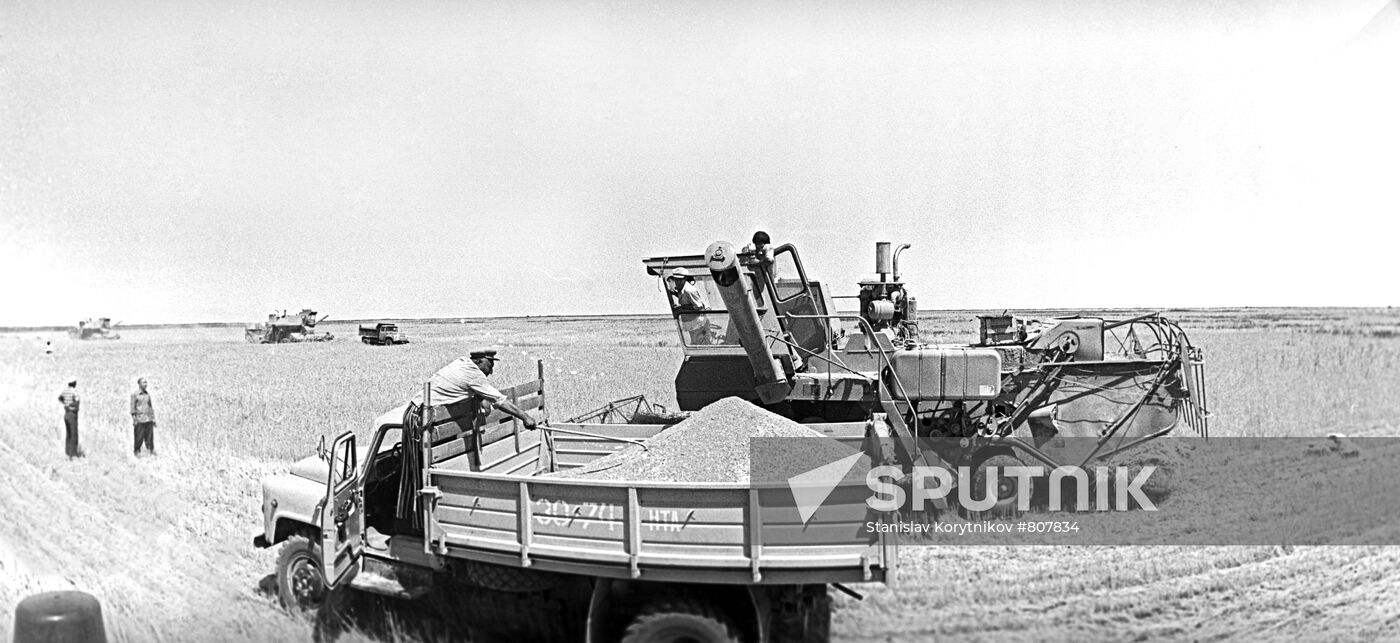 Cotton harvesting