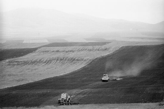 The fields of Khakasia