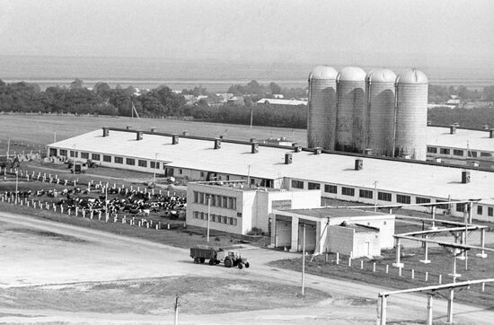 Livestock-breeding facility of the Parkhomovsky state farm