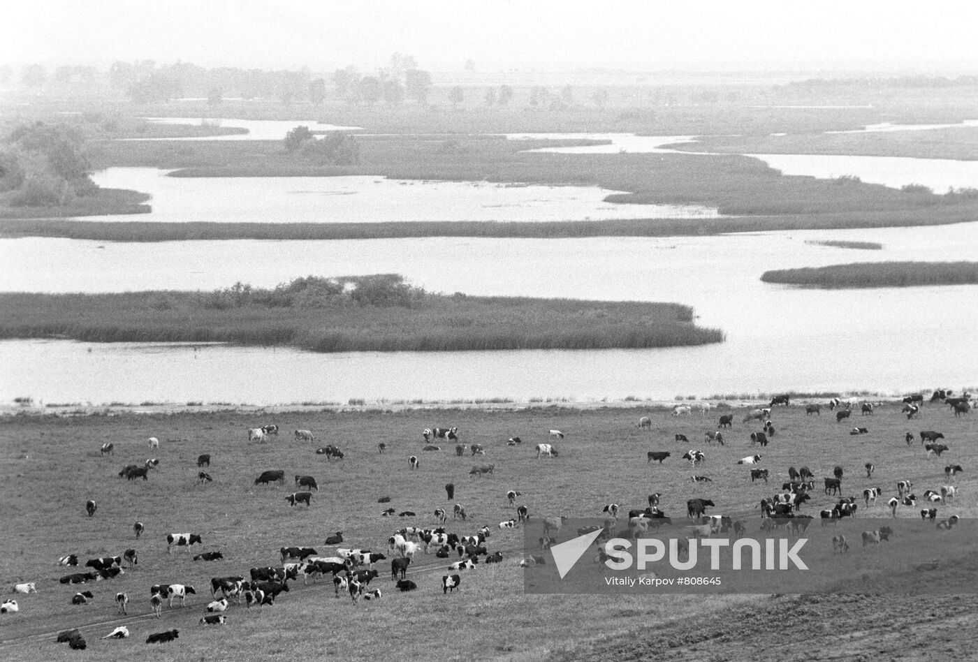 Pobeda Collective Farm