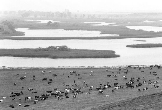 Pobeda Collective Farm