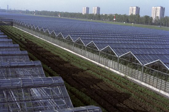 Greenhouse facilities