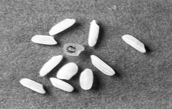 Beethoven's micro-portrait