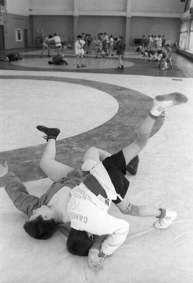 Young sambo wrestlers