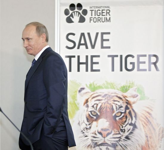 Vladimir Putin visits North Western Federal District