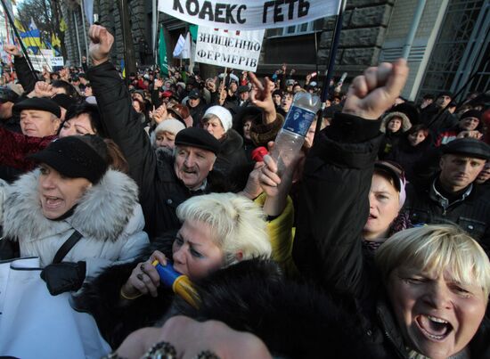 Kiev entrepreneurs' rally