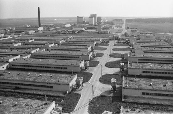 "Zadneprovskoye" hog-breeding production association