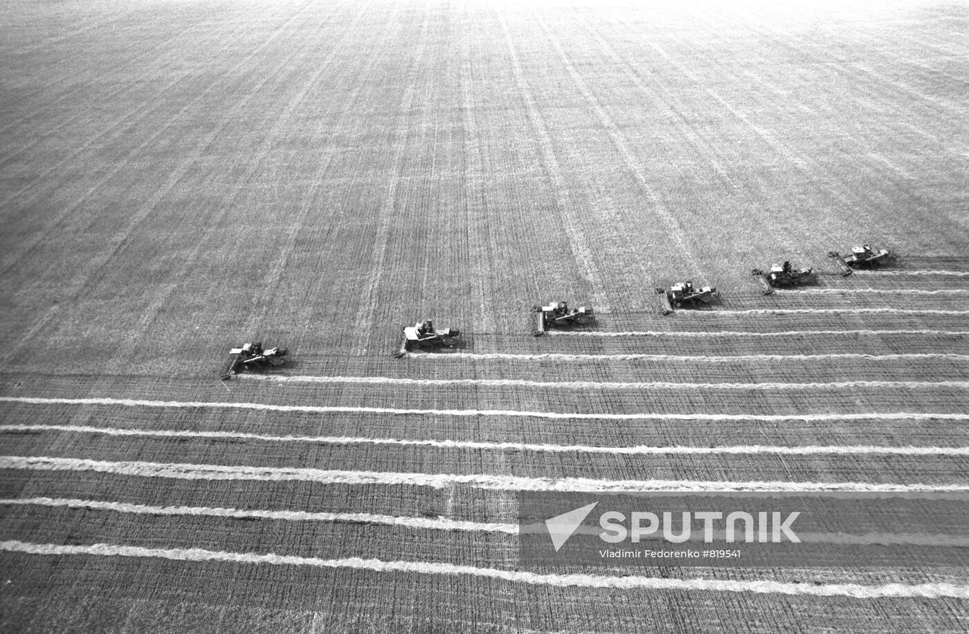 Harvesting grain