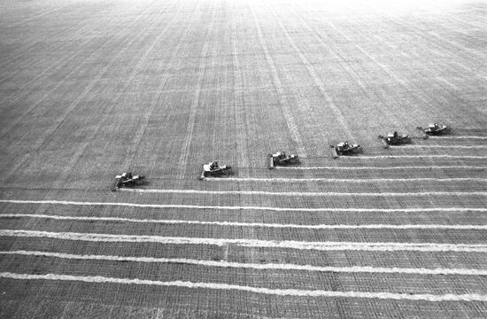 Harvesting grain