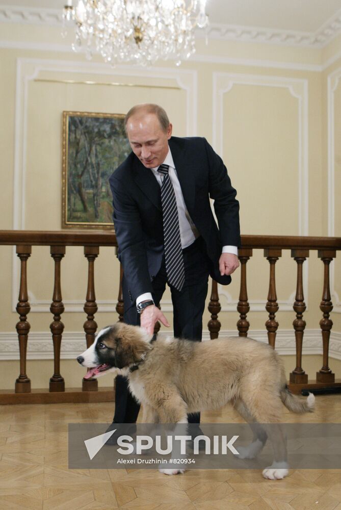 Putin meets boy who invented his new dog name