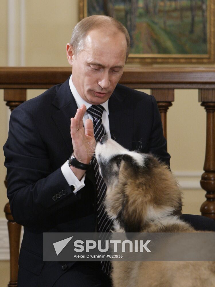 Putin meets boy who invented his new dog name