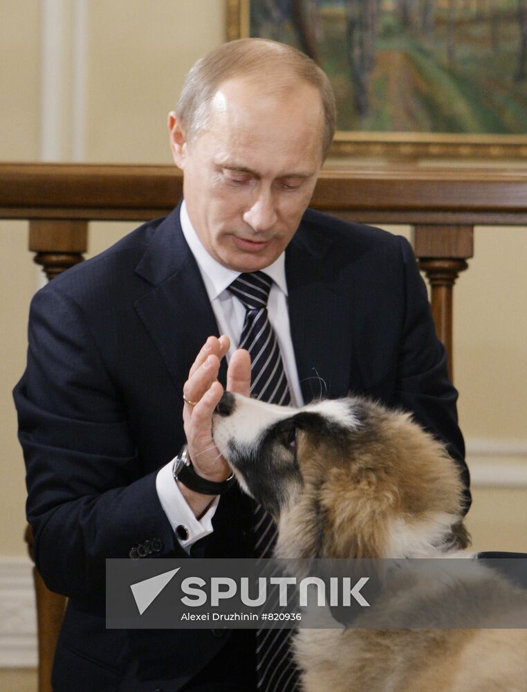 Putin meets boy who invented his new dog name