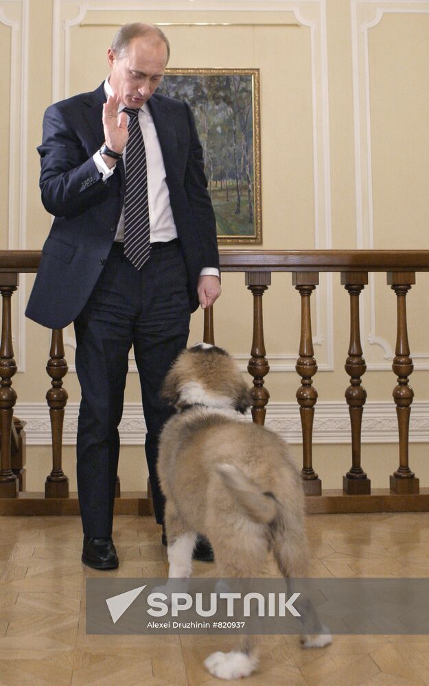 Putin meets boy who invented his new dog name