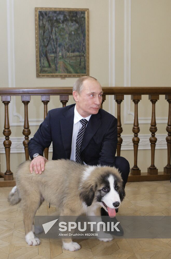 Putin meets boy who invented his new dog name