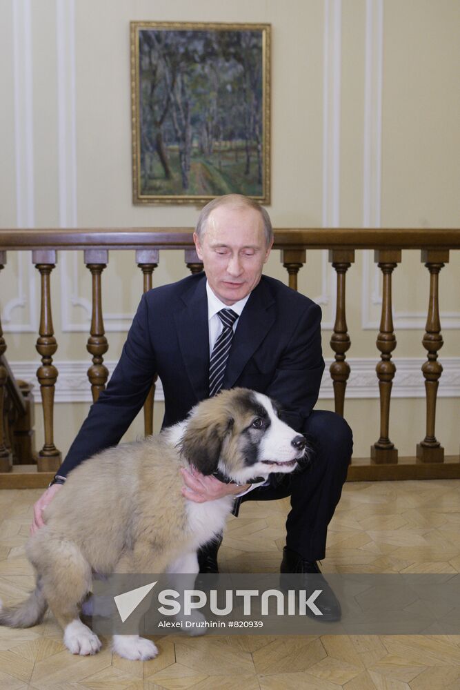 Putin meets boy who invented his new dog name