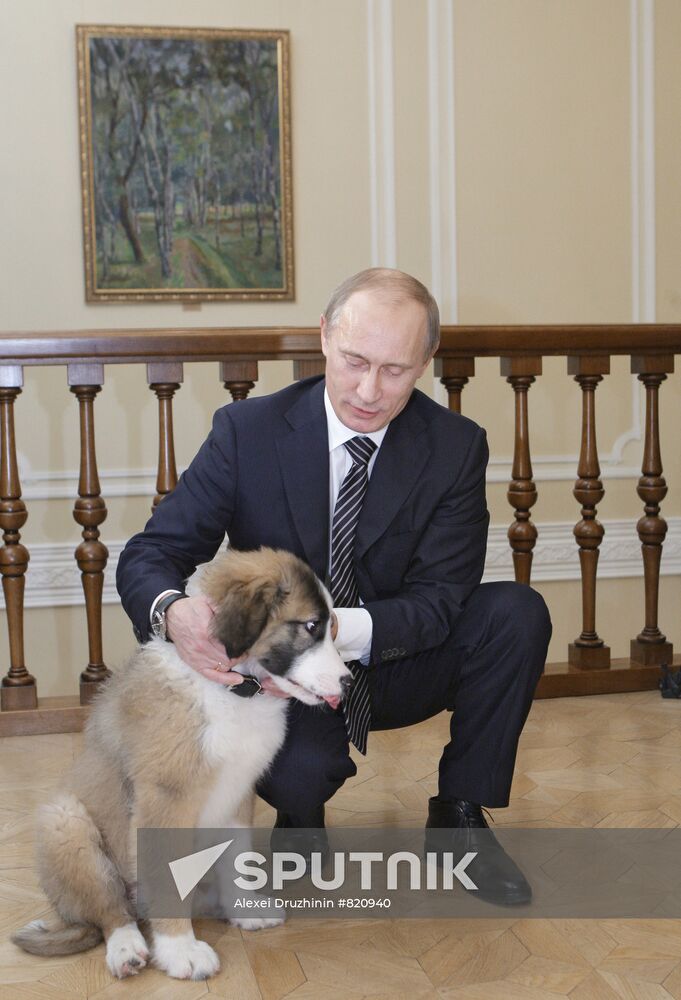 Putin meets boy who invented his new dog name