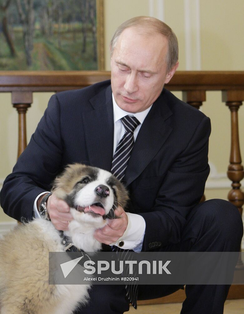 Putin meets boy who invented his new dog name