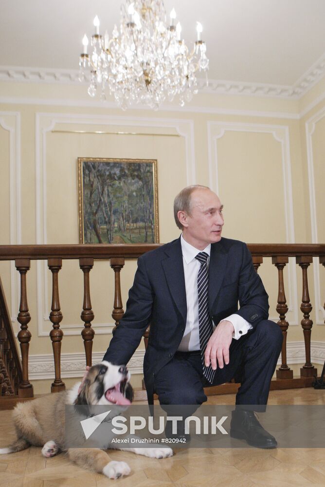 Putin meets boy who invented his new dog name