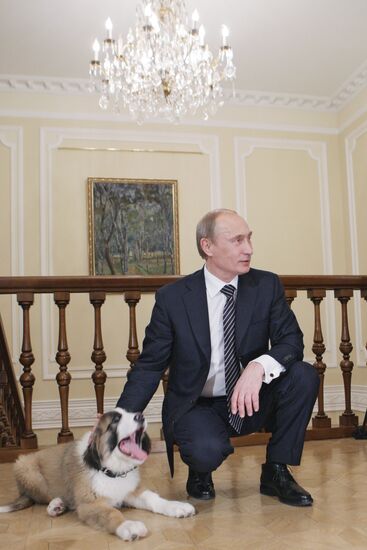 Putin meets boy who invented his new dog name