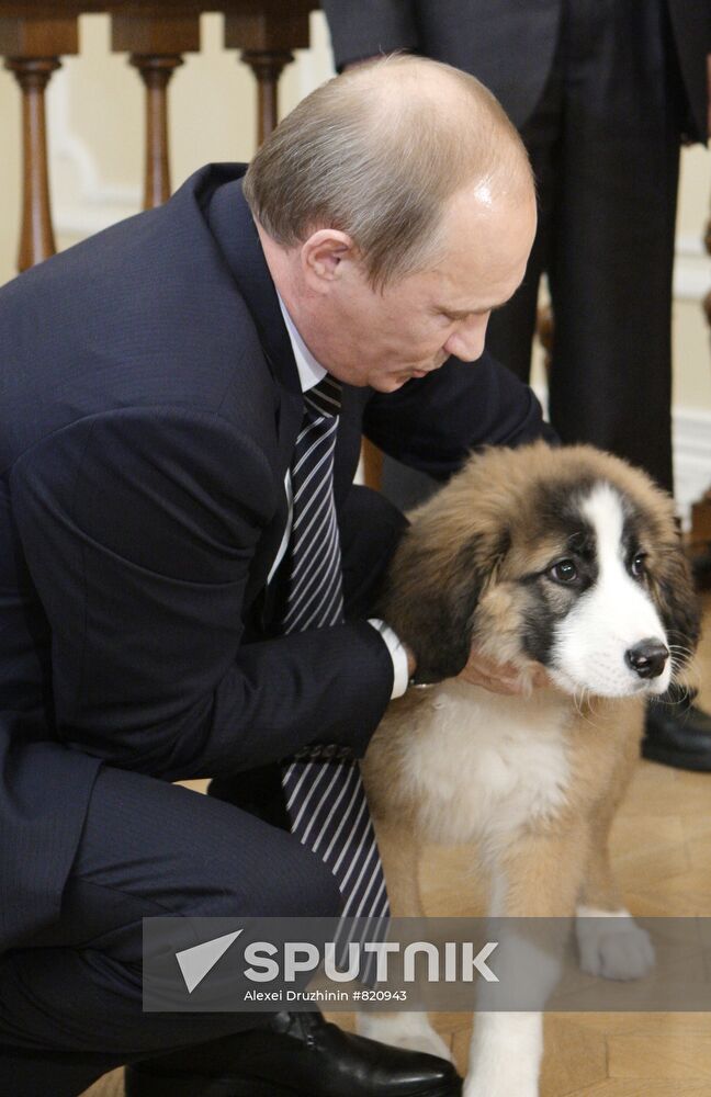 Putin meets boy who invented his new dog name