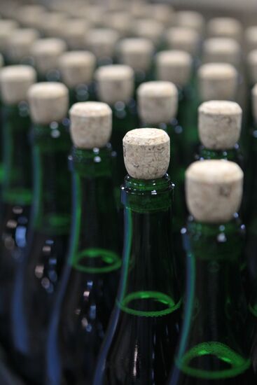 Production of champagne at Moscow Champagne Winery