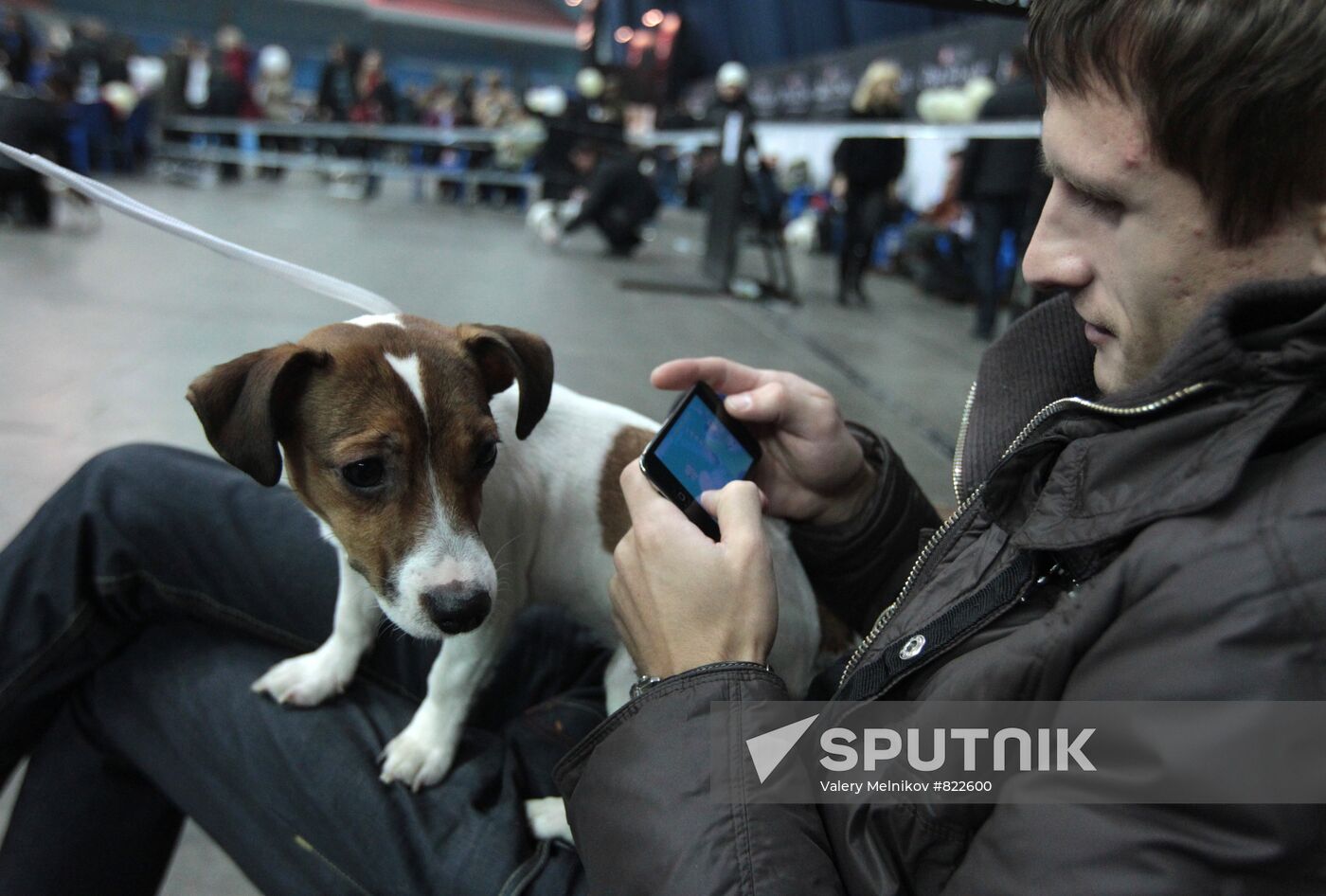 "2010 Moscow Mayor Cup" international dog show