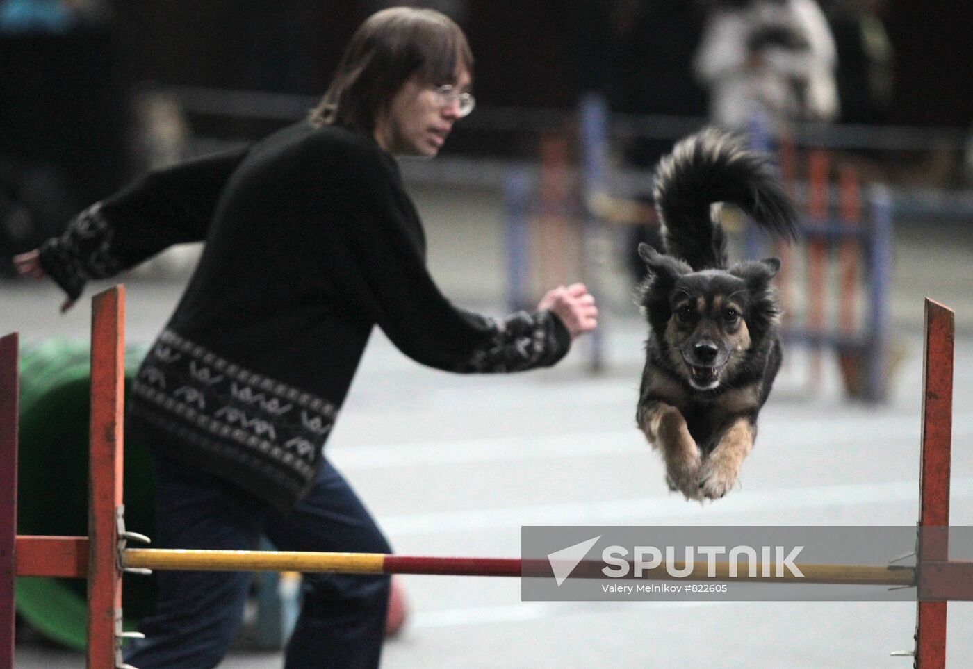 "2010 Moscow Mayor Cup" international dog show
