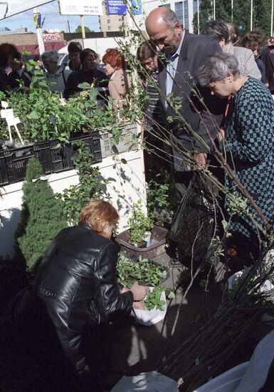 Flowers-2001 Eighth International Exhibition