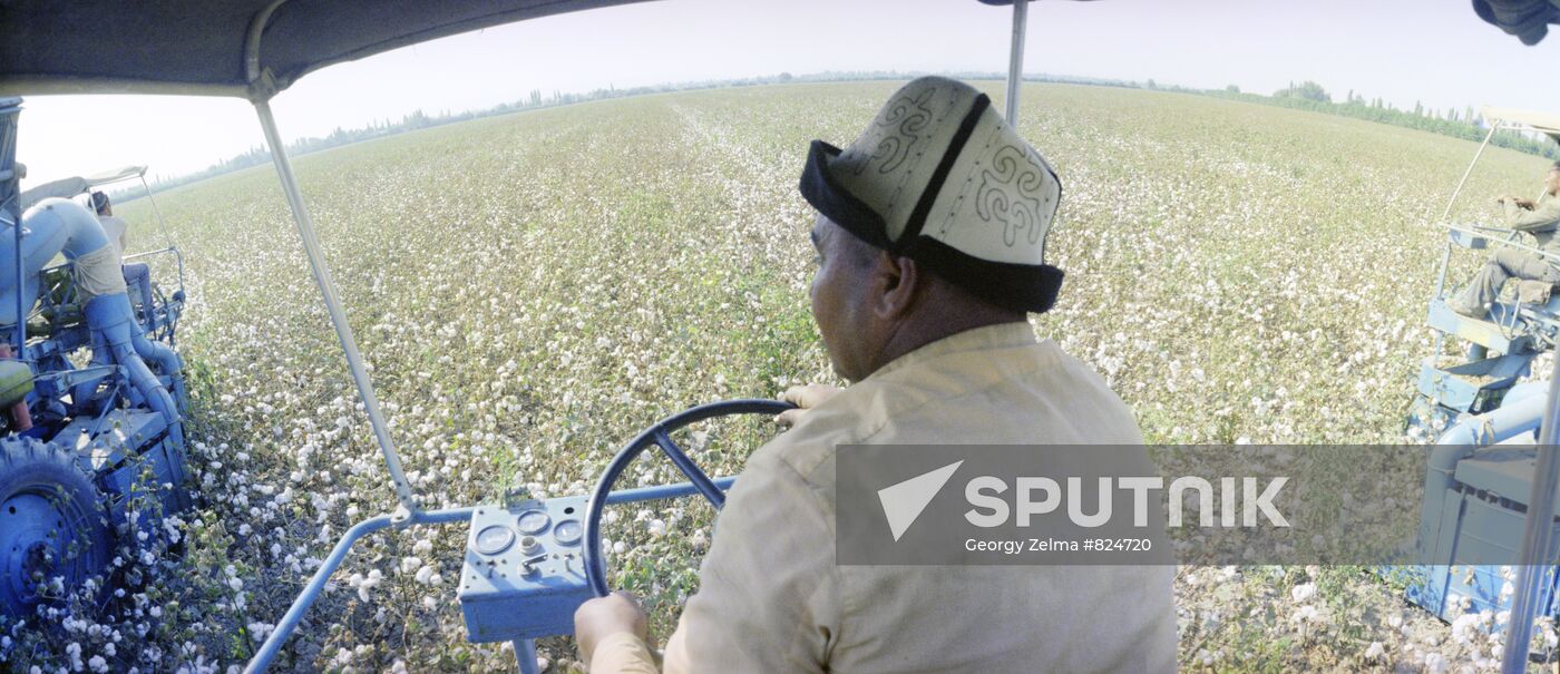 Mechanical cotton picking