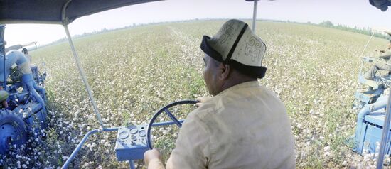 Mechanical cotton picking