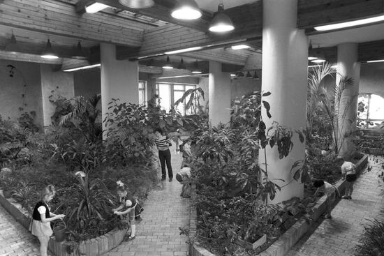 Winter garden at the children's center