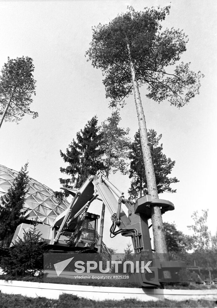 Soviet-made clambunk skidder LP-18